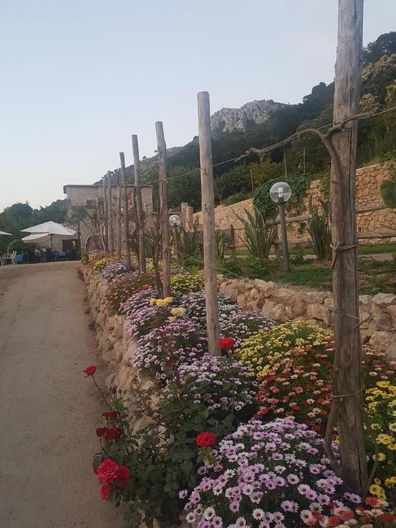Agriturismo del Sole Anacapri  Exterior foto
