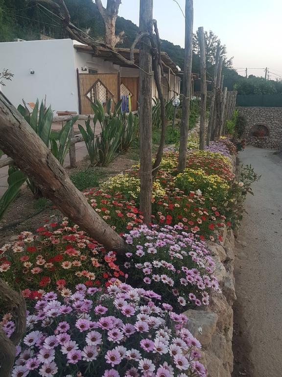 Agriturismo del Sole Anacapri  Exterior foto