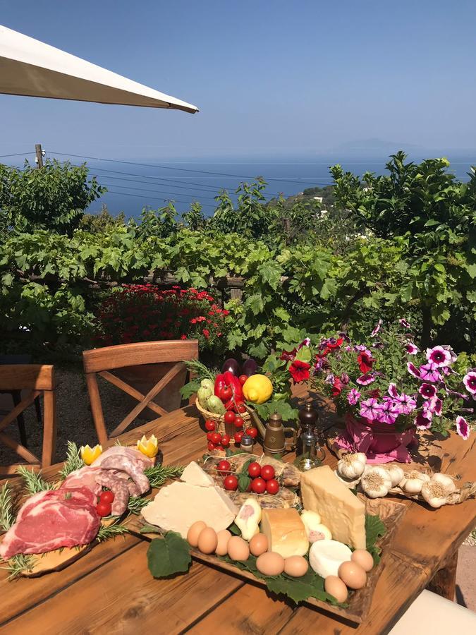 Agriturismo del Sole Anacapri  Exterior foto