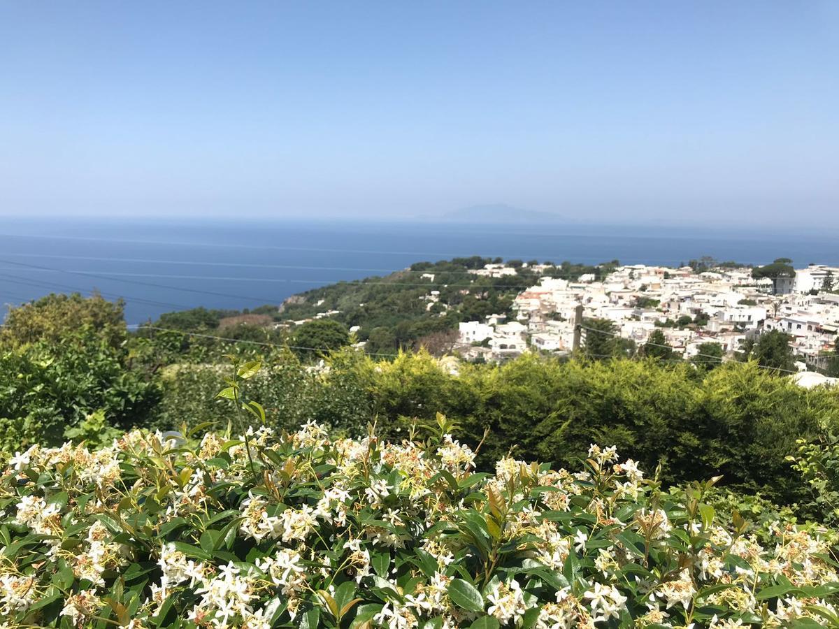Agriturismo del Sole Anacapri  Exterior foto